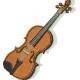 Violino 02