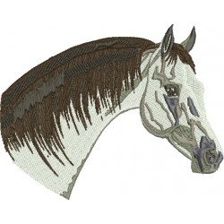 Cavalo 34