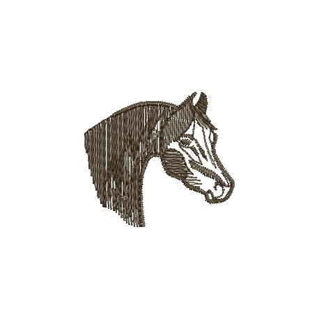 Cavalo 36