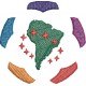 Logo Libertadores 02