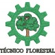 Técnico Florestal 01