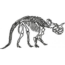 Dinossauro 67