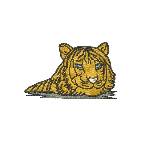 Tigre 06