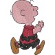 Charlie Brown 45