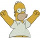 Homer 14