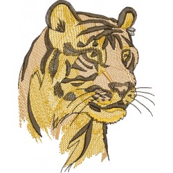 Tigre 08