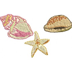 Conchas e Estrela do mar
