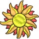 Sol 03