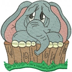 Elefante 25