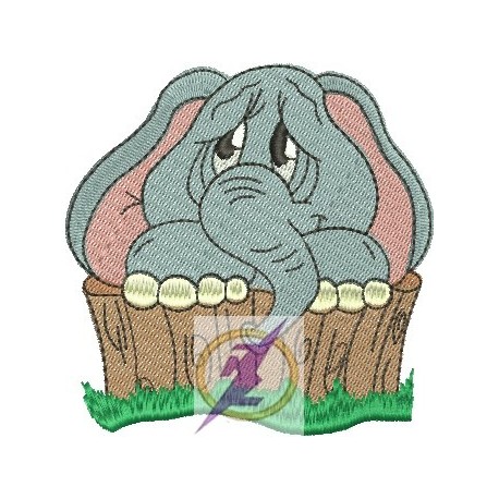 Elefante 25