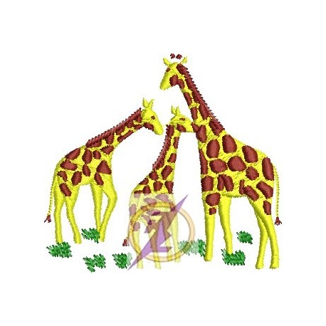 Girafa 14