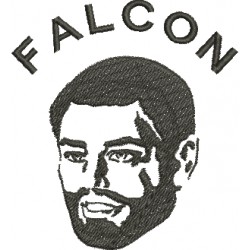 Falcon 00