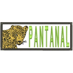 Onça do Pantanal