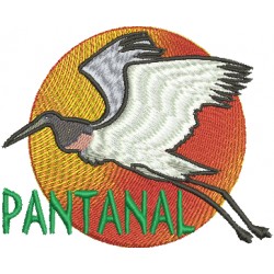 Pantanal Mato Grossense 05