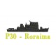 Navios-Patrulha Fluvial (Classe Roraima) P30 - Roraima