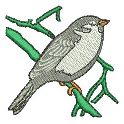 Pássaro 05