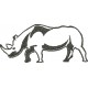 Rinoceronte 09