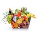 Alimentos