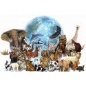 Animais