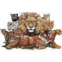 Felinos
