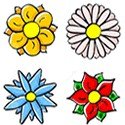 Flores