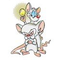 Pinky e o Cérebro