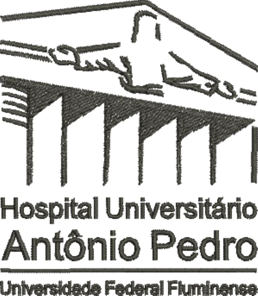 Visualização da matriz de bordado Hospital Universitário Antônio Pedro