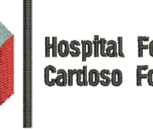 Visualização da matriz de bordado Hospital Federal Cardoso Fontes 02
