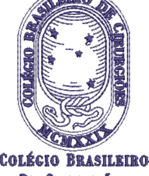 Visualização da matriz de bordado Colégio Brasileiro de Cirurgiões 02