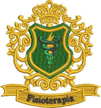 matriz de bordado Fisioterapia 379