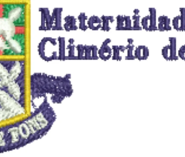 Visualização da matriz de bordado Maternidade Climério de Oliveira 01