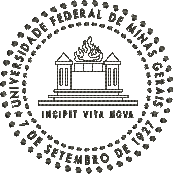 matriz de bordado Universidade Federal de Minas Gerais 02