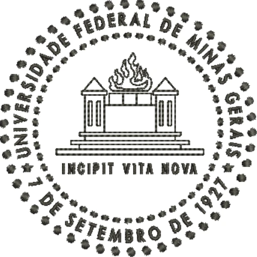 Visualização da matriz de bordado Universidade Federal de Minas Gerais 02