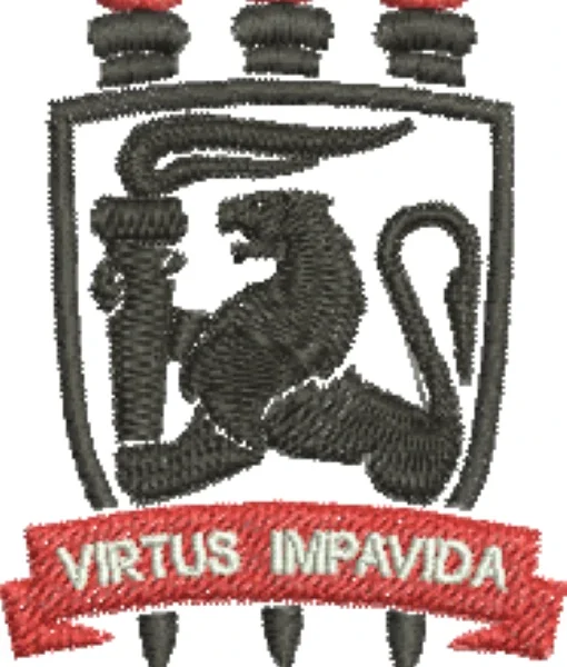 Visualização da matriz de bordado Universidade Federal de Pernambuco