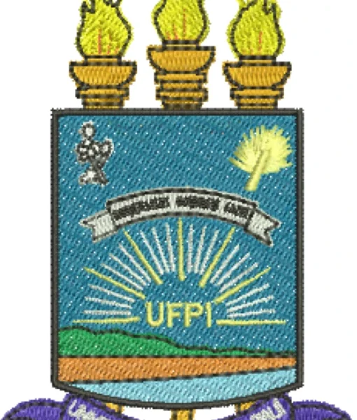 Visualização da matriz de bordado Universidade Federal do Piauí