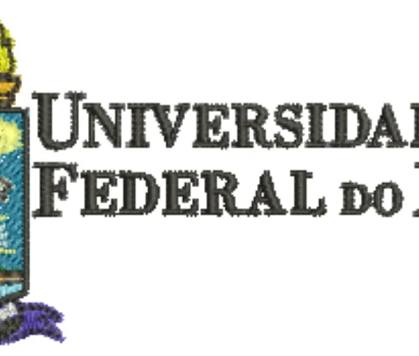 Visualização da matriz de bordado Universidade Federal do Piauí 01