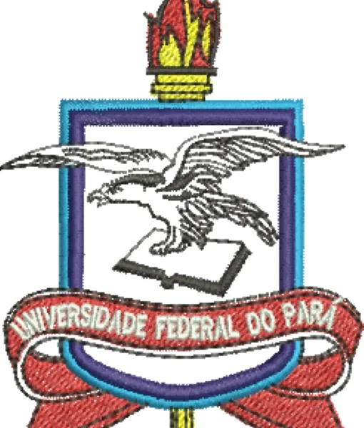 Visualização da matriz de bordado Universidade Federal do Pará