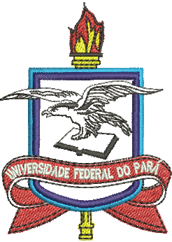 matriz de bordado Universidade Federal do Pará