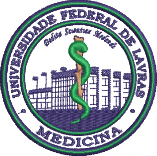 Visualização da matriz de bordado Medicina Universidade Federal de Lavras