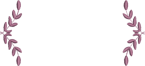 Matriz de Bordado Moldura 169