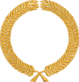 Matriz de Bordado Brasão 62