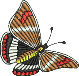 Matriz de Bordado Borboleta