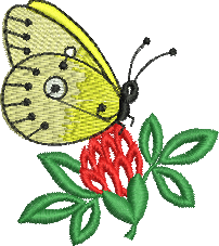 Matriz de Bordado Borboleta