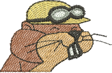 Matriz de Bordado Corrida Maluca