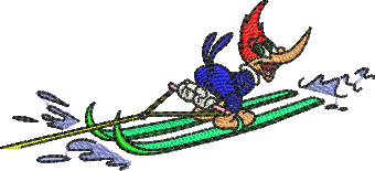 Matriz de Bordado Pica Pau Esqui