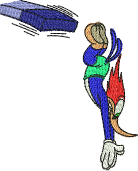 Matriz de Bordado Pica Pau Nadador