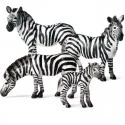 Zebras